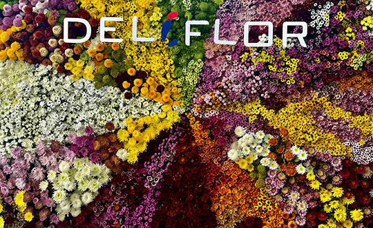 Ferias & Exhibiciones